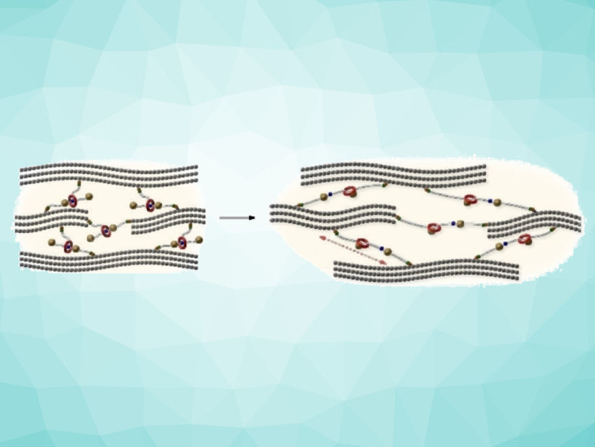 Cross-Linking Graphene Nanolayers with Rotaxanes