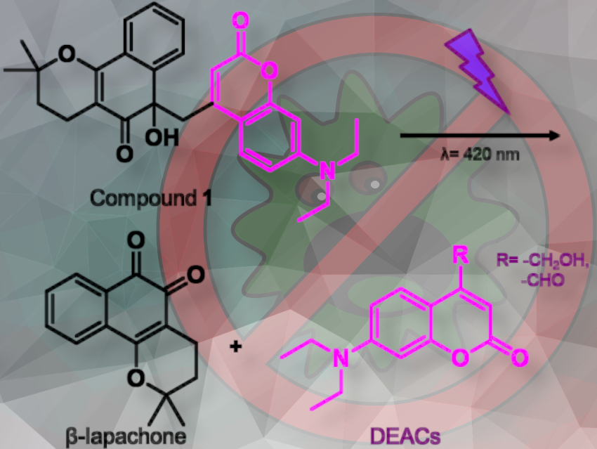 Targeting Biofilms with Photocaged β-Lapachone