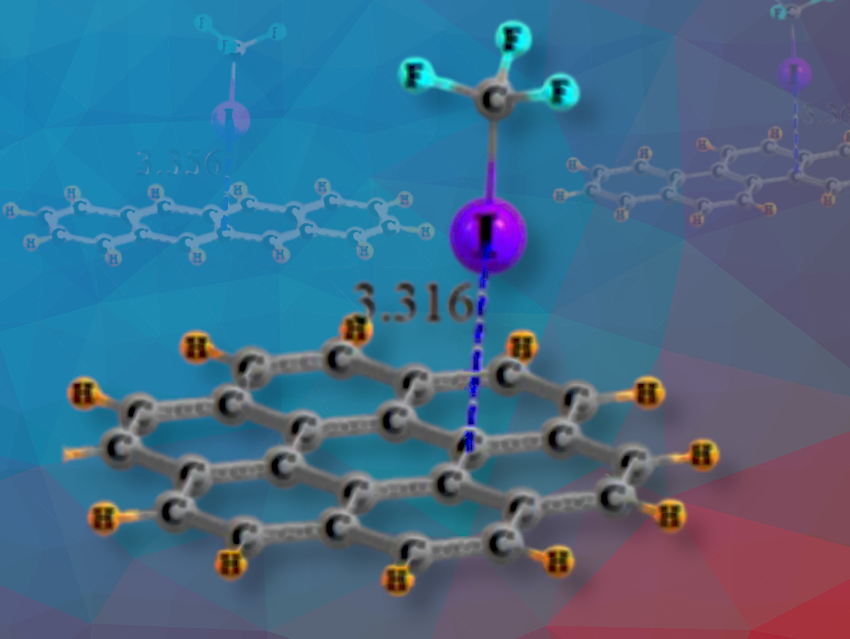 Halogen Bonding in Polycyclic Aromatics