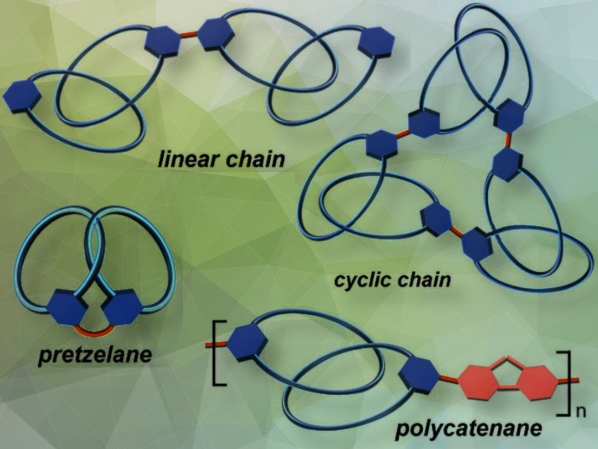 Synthesis of All‐Benzene Multi‐Macrocyclic Nanocarbons - ChemistryViews