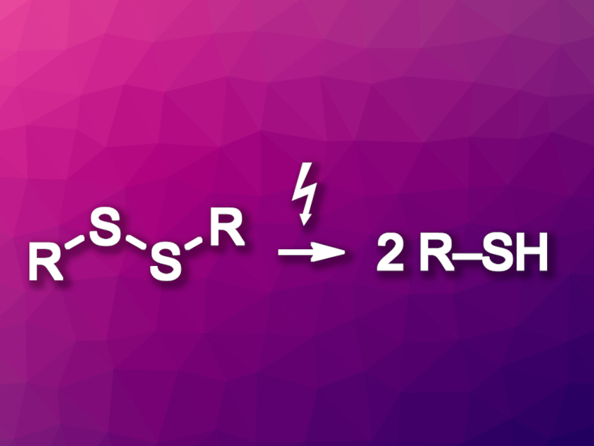 Electrochemical Reduction of Disulfides