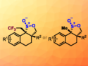 An Easier Path to Polycyclic γ-Sultines