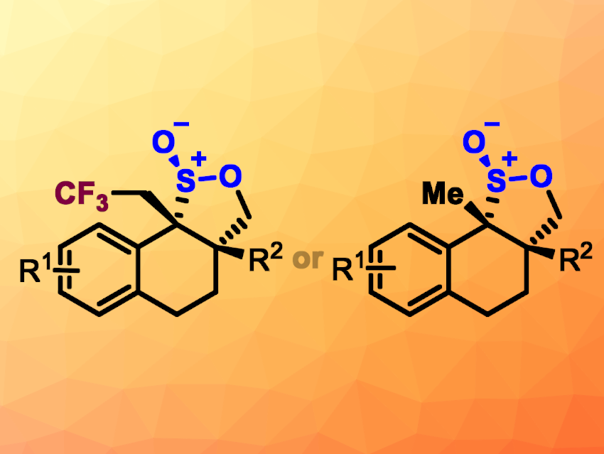 An Easier Path to Polycyclic γ-Sultines