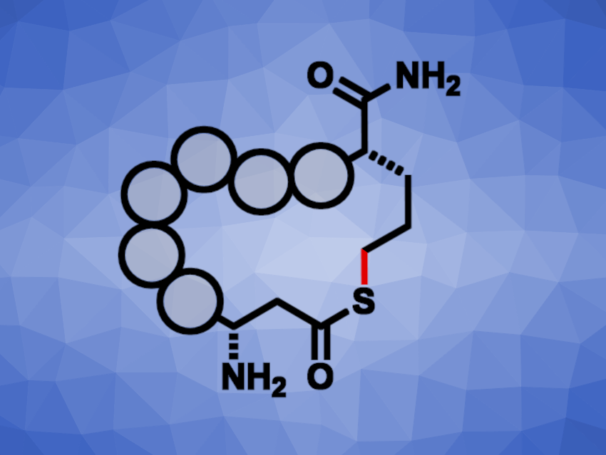 Rapid Photochemical Synthesis of Peptide Thiolactones