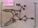 Exploring Nickel(II) Catalysts for Fluorinated Ether Formation