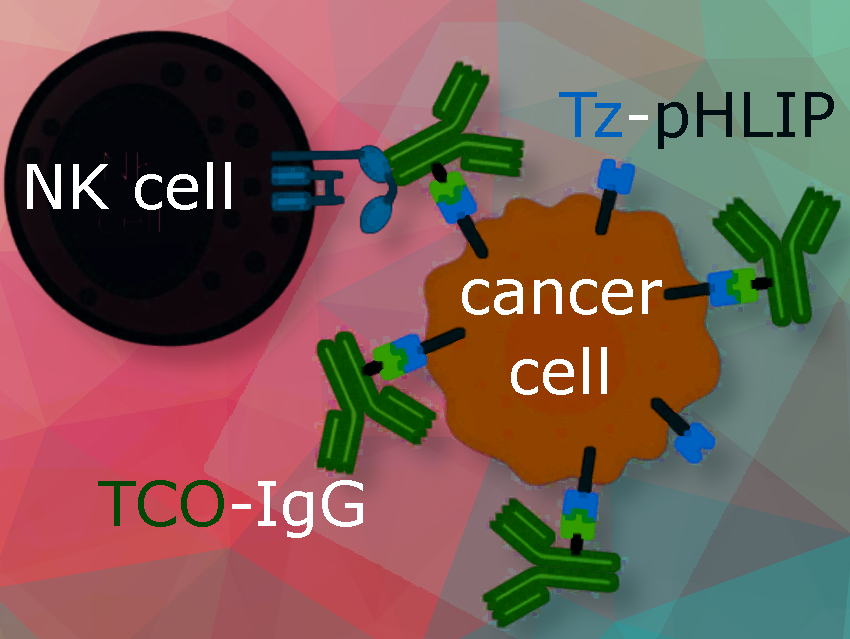 Novel Strategy for Cancer Immunotherapy