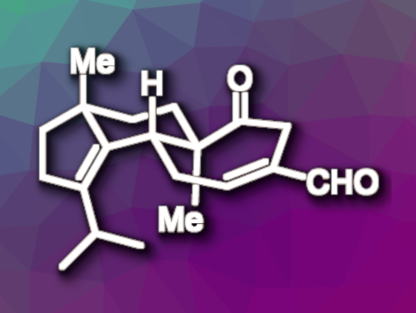 Enantioselective Total Synthesis of Cyathin B2