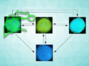 Molecule with Four Switchable Fluorescence Colors in the Solid State