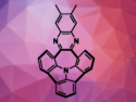 N-Doped Polycyclic Aromatic Hydrocarbon Bowls Recognize Metal Ions