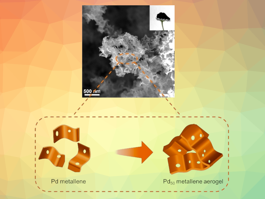 Palladene Aerogels as Bifunctional Electrocatalysts