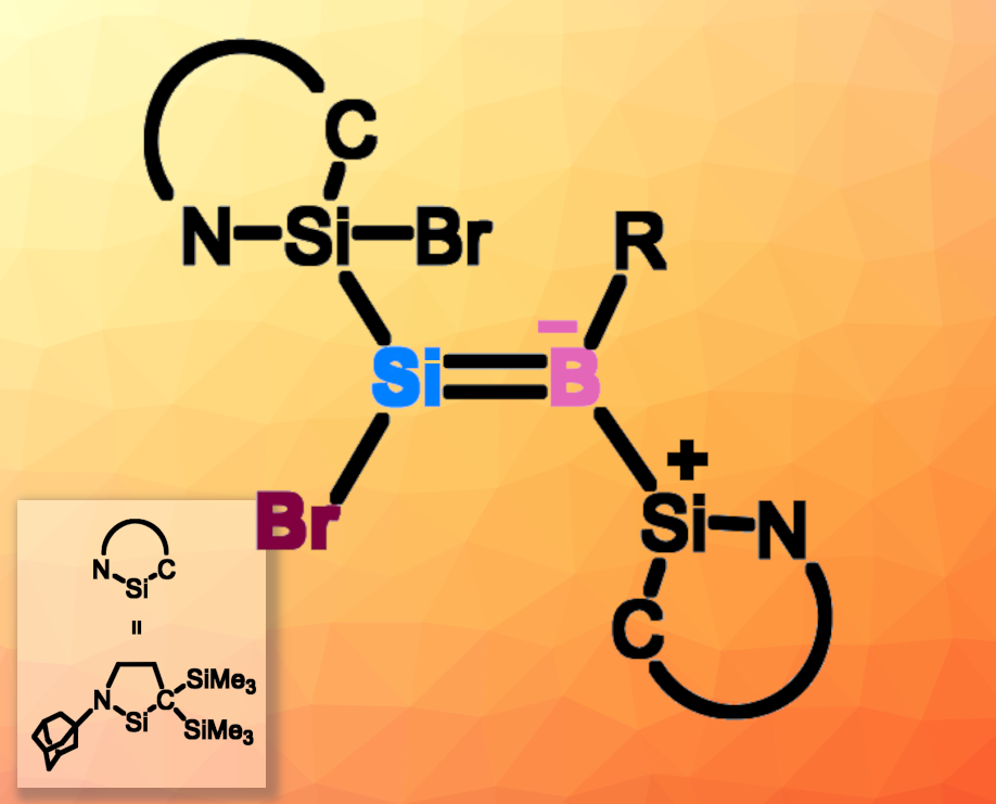 First Si=B Analogue of a Vinyl Halide