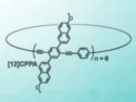 New Largest [n]Cycloparaphenylene Acetylene