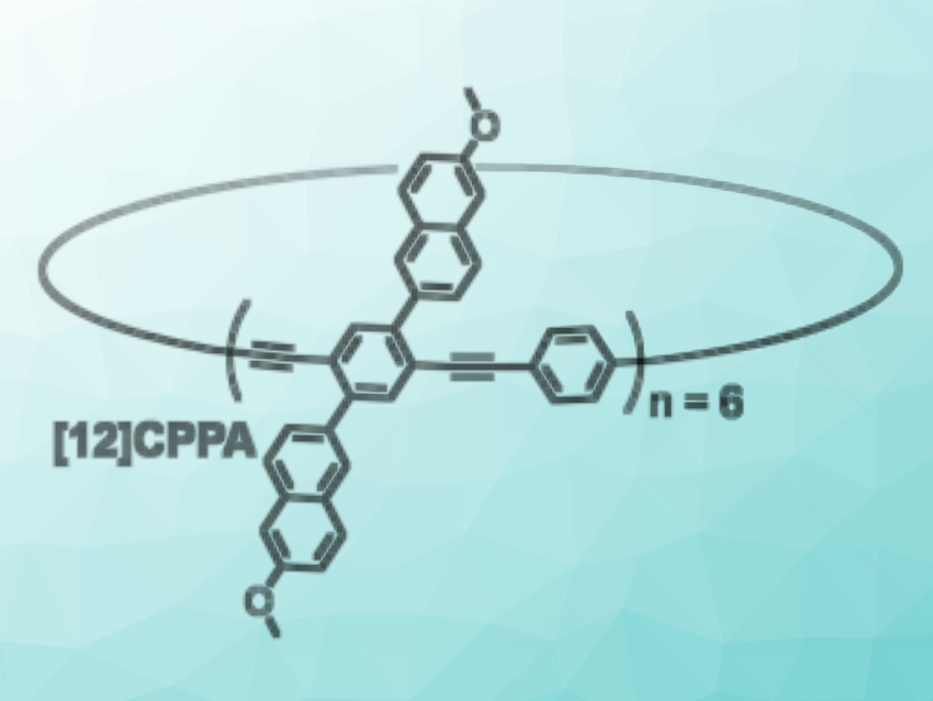 New Largest [n]Cycloparaphenylene Acetylene