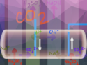 Electrodialysis for a Greener Chemical Industry