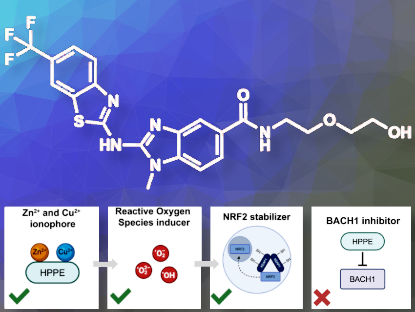 A New Mechanism for How a Drug Boosts Cell Defenses