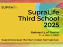 SupraLife Third School “Supramolecular Multifunctional Biomaterials”