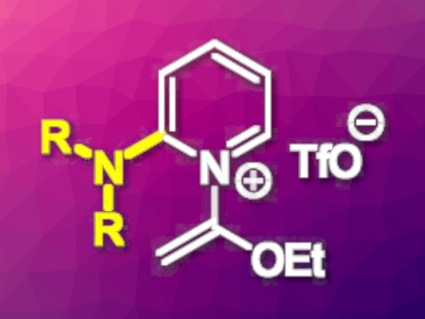 2-Aminopyridines Made from Bench-Stable Reagents