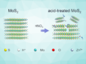 MoS2 with an Edge-Enriched Structure for Aqueous Zinc-Ion Batteries