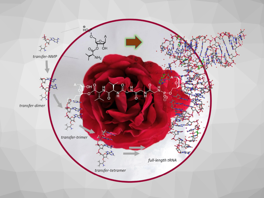 Angewandte Chemie 38/2024: Active Site