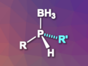 Enantioselective Alkylation of Primary Phosphines