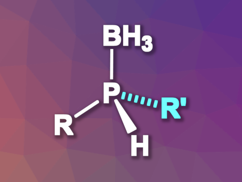 Enantioselective Alkylation of Primary Phosphines