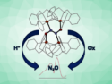 A Non-Heme Iron Hyponitrite Complex