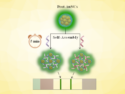 A Fluorescence Signal “Turn-On” Lateral Flow Assay for Ultrasensitive Small-Molecule Detection