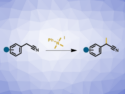 Efficient Synthesis of 2-Arylpropionitriles