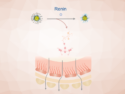 Fluorogenic Nanoprobes to Guide Treatment of High Blood Pressure