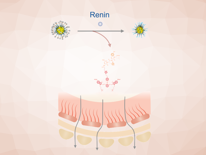 Fluorogenic Nanoprobes to Guide Treatment of High Blood Pressure