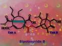 Terpene-Nonadride Heterodimers: A New Class of Compounds Targeting Colorectal Cancer