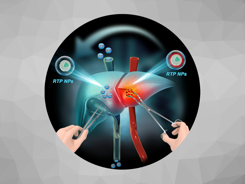 Angewandte Chemie 42/2024: Amplifying Chemistry