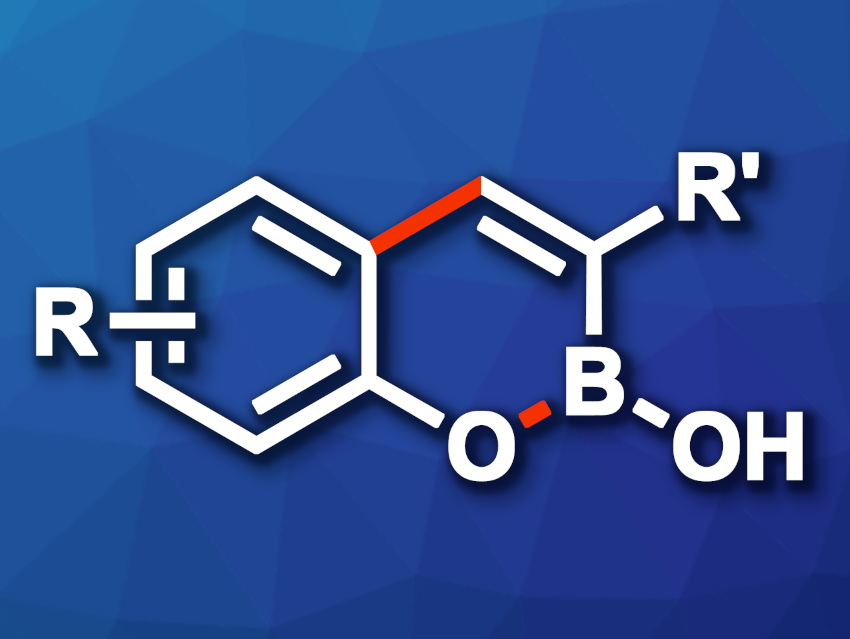 First Si=B Analogue of a Vinyl Halide