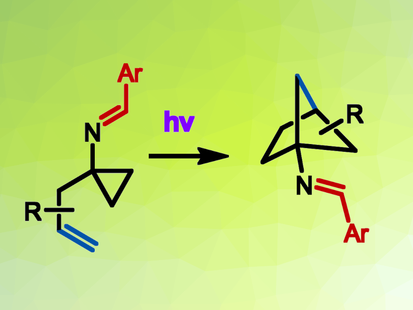 Bicyclo[2.1.1]hexanes Prepared from Allylated Cyclopropanes