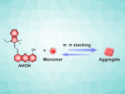 Dual-Target Probe for Monitoring Mitochondria-Lysosome Interactions