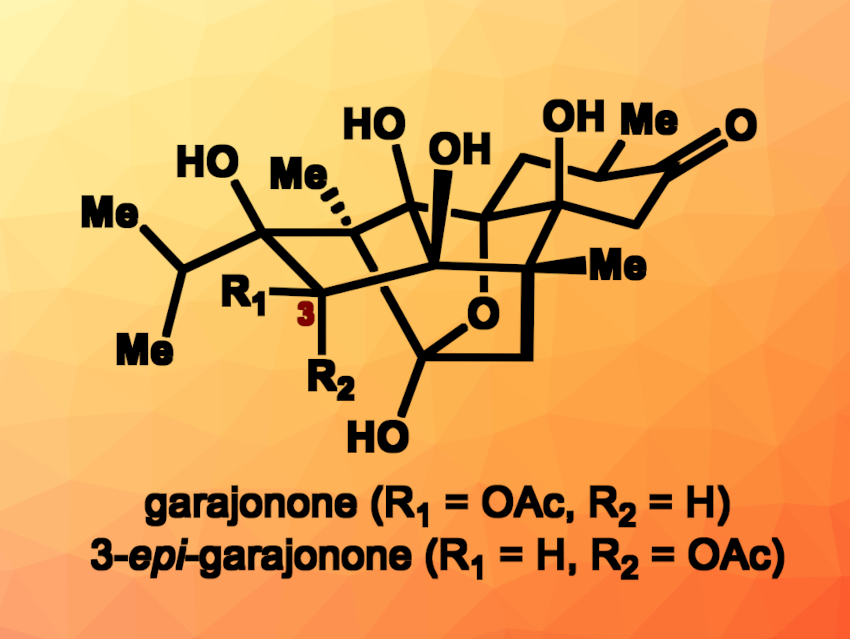 First Total Synthesis of Garajonone