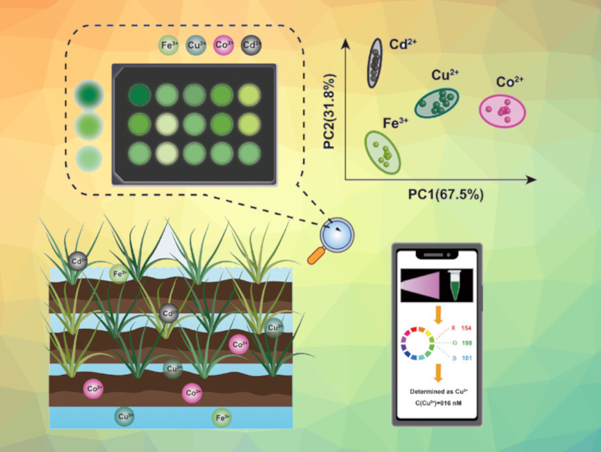 Fluorescent Sensor Array for the Detection of Multiple Metal Ions