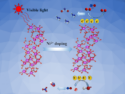 Nickel-Doped Bi2O2CO3 Nanosheets for Efficient Nitric Oxide Removal