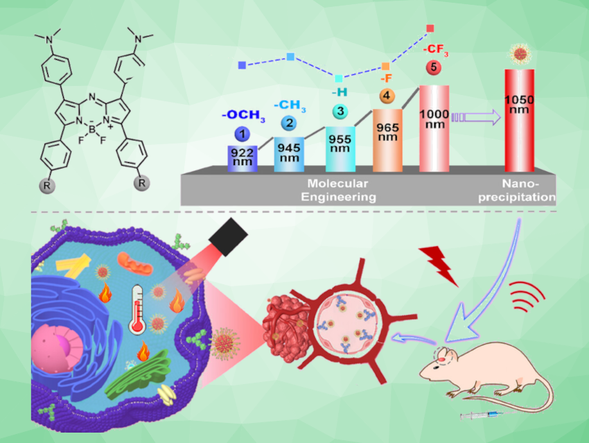 Phototherapeutic Agent for the Noninvasive Threatment of Glioblastoma