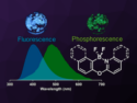 Xanthene Derivatives Show Organic Room Temperature Phosphorescence