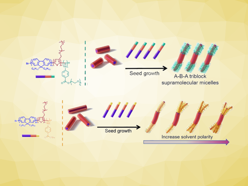 Precise Preparation of Hierarchical Copolymer Micelles