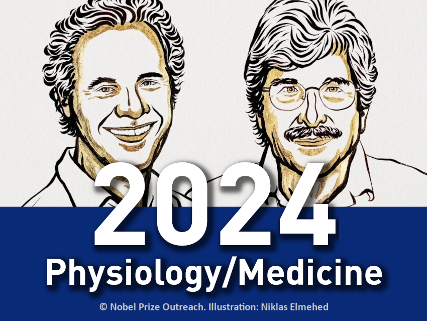 Nobel Prize in Physiology or Medicine 2024