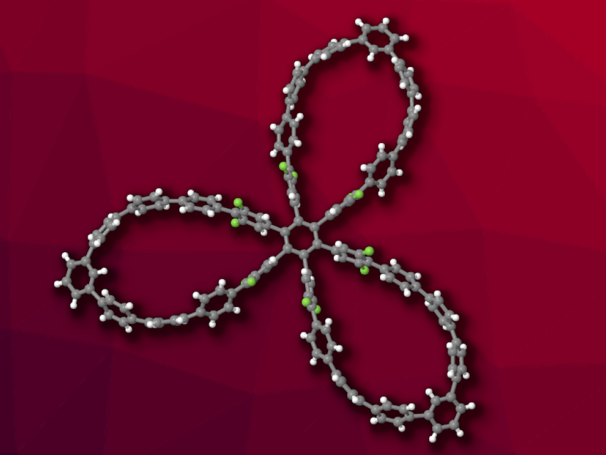 Twisting Alkyne Cycloparaphenylenes into a Molecular Pinwheel