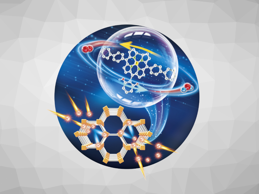 Angewandte Chemie 47/2024: The Long Term