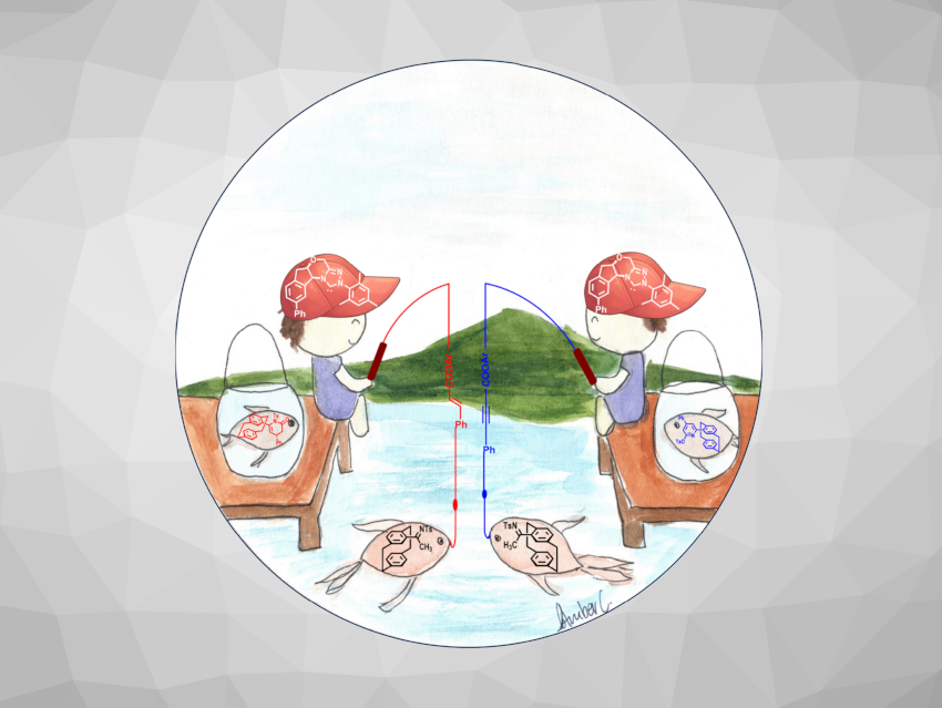 Angewandte Chemie 46/2024: Multifunctional