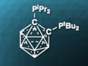 Carboranyl Diphosphine Activates Ammonia