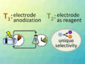 Electrolysis and Organic Synthesis Decoupled to Achieve Rare Selectivity