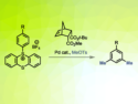 New Option for the Late-Stage Dimethylation of Arenes