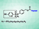 New Cleavable Linker Design for Targeted Drug Therapy