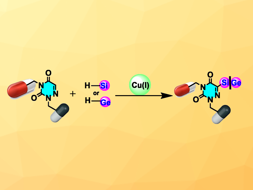 Silylation and Germylation of Azauracils